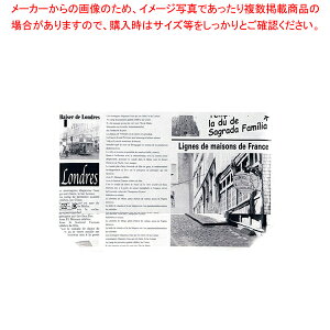 �G�R�E�t�B�[���h���[���s�A���� No.9618��(100����)�y�o�����^�C�� ����z�yECJ�z