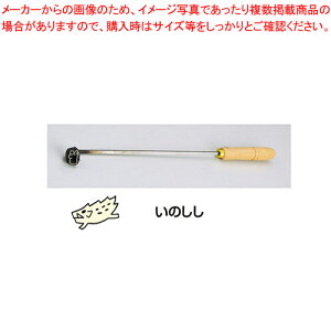 SAĈSe \x ̂yĈSe َqz yo^C  peBVG َq  ĈSe ƖpzyECJz