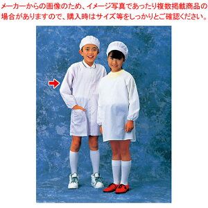 �w�����H��(�z���C�g)SKV358 6���y�w�����H�� �w�����H�� �Ɩ��p�z�yECJ�z