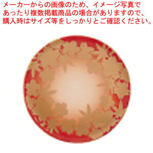 iM tH 1-504-10 y[J[/s H M M ƖpzyECJz