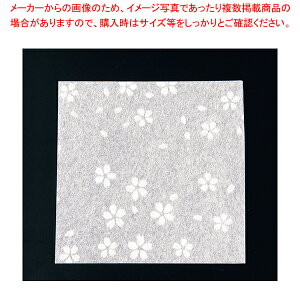 N~ (100) CS-300yopi  opi  ƖpzyECJz