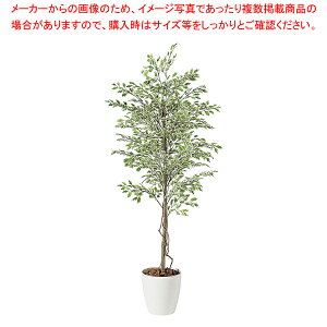 SG ベンジャミナ スターライト 90718 2.0m【人工樹木 作り物】【厨房用品 調理器具 料理道具 小物 作業 厨房用品 調理器具 料理道具 小物 作業 業務用】【ECJ】