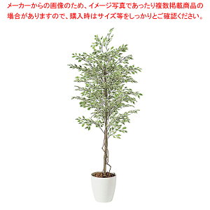 SG xW~i X^[Cg 90720 1.5mylH 蕨zy~[pi     ~[pi     ƖpzyECJz