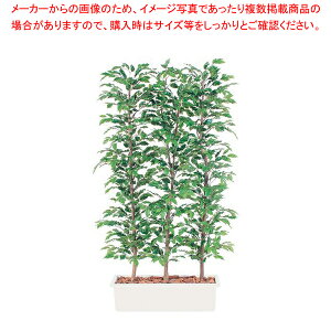 SG xW~ip[e[V E21037 1.8mylH 蕨zyXܔi   Xܔi   ƖpzyECJz