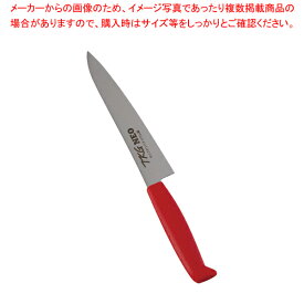 【まとめ買い10個セット品】遠藤商事 / TKG-NEO(ネオ)カラー ペティ 15cm レッド【ECJ】