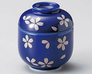 aH I114-138 ӂԂ~jނqyECJz