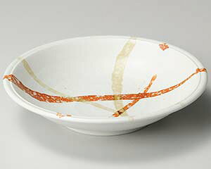 y܂Ƃߔ10ZbgizaH l249-088 _9.5MyLZ/ԕiszyECJz