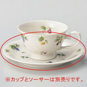 y܂Ƃߔ10Zbgiz z612-168 t[chR[q[MyLZ/ԕiszyECJz