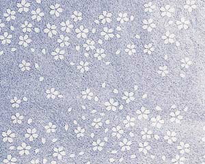 I746-458 NA~CS-120  12cmpyECJz