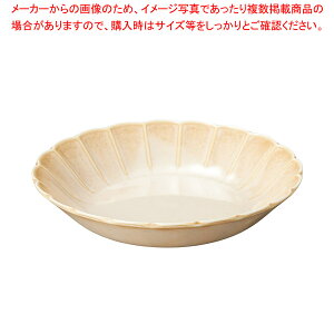 c542-568 N[Ԍ^24cm[M yECJz