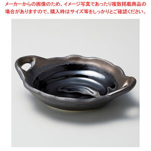 �l066-048 ���ʓV�ڗ���t�۔��� �yECJ�z