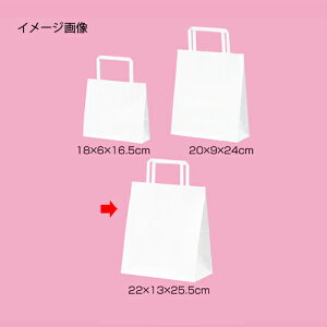 Ђ [RXg^Cv n 22×13×25.5 50 61-800-87-4yX܏Y  fBXv[ Mtg bsO   Օi XܔizyECJz