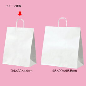 【まとめ買い10個セット品】丸ひも ローコストタイプ 白無地 34×22×44 200枚 61-658-55-23【店舗什器 小物 ディスプレー ギフト ラッピング 包装紙 袋 消耗品 店舗備品】【ECJ】