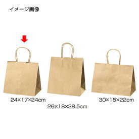 【まとめ買い10個セット品】丸ひもタイプ 茶無地 24×17×24 200枚 61-431-24-13【店舗什器 小物 ディスプレー ギフト ラッピング 包装紙 袋 消耗品 店舗備品】【ECJ】