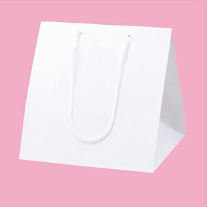 AWobO  28.5×28×30 10 61-310-2-2ybsOpi  񂰎܁inj  AWobO  bsOpizyX܏Y  fBXv[ Mtg bsO   