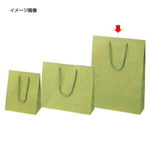 J[񂰎 q 33×10×45 100 61-313-10-6ybsOpi  񂰎܁inj J[񂰎܁zyX܏Y  fBXv[ Mtg bsO   Օi Xܔiz