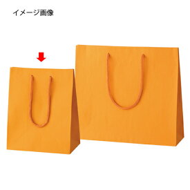 【まとめ買い10個セット品】手提げ紙袋 カラークラフト袋 オレンジ 20×12×25cm 10枚 61-313-13-1【 ラッピング用品 ラッピングシリーズ バレンタイン・イースター・入学 カラー手提げ紙袋 オレンジHEIKO 紙袋 プレーンチャームバッグ 】【ECJ】