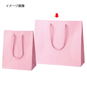 J[񂰎 sN 33×10×29 100 61-549-36-5yX܏Y  fBXv[ Mtg bsO   Օi XܔizyECJz