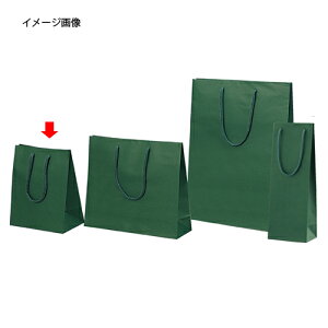 手提げ紙袋 カラークラフト袋 グリーン 20×12×25cm 10枚 61-313-5-1【ラッピング用品 紙袋 手提げ紙袋(無地) カラー手提げ紙袋】【 包装 ラッピング袋 紙袋 ペーパーバッグ 中身が見えにくい