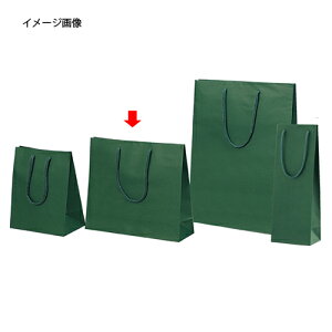 񂰎 J[Ntg O[33×10×29cm 100 61-313-5-6ybsOpi  񂰎܁inj J[񂰎܁zy  bsO  y[p[obO gɂ 