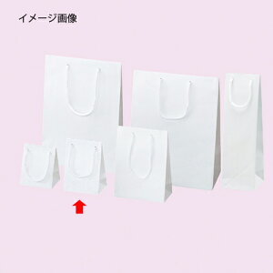 񂰎 G{X  12×16.5cm 10 61-313-8-3ybsOpi bsOV[Y o^CEC[X^[Ew 񂰎܁zybsOpi  bsO  y[p[obO