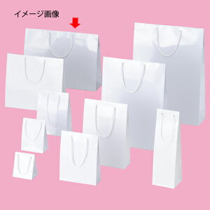 ��񂰎��� �u���C�g�o�b�N �z���C�g 45×12×33cm 10�� 61-314-1-12�y���b�s���O�p�i ���� ��񂰎��܁i���n�j �R�t�����܃u���C�g�o�b�O�z�yECJ�z