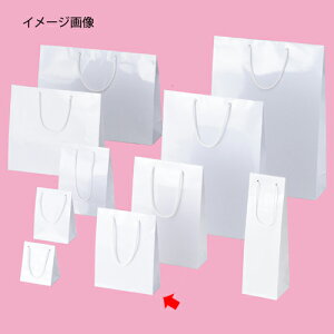 y܂Ƃߔ10ZbgizuCgobO zCg 18.5×6.5×24 50 61-314-1-18y bsOpi  񂰎܁inj Rt܃uCgobO zyX܏Y  fBXv[ Mtg