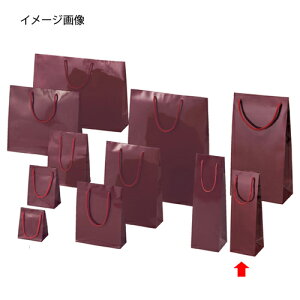 �u���C�g�o�b�O �G���W 9.5×8×29 10�� 61-314-3-1�y���b�s���O�p�i ���b�s���O�V���[�Y �o�����^�C���E�C�[�X�^�[�E���w �u���C�g�o�b�O �G���W�V���W�} ���� �c���L��z�y�X�܏Y�� ���� �f�B�X