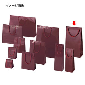 ブライトバッグ エンジ 20×10×36.5 50枚 61-314-3-19【ラッピング用品 ラッピングシリーズ バレンタイン・イースター・入学 ブライトバッグ エンジシモジマ 紙袋 ツヤ有り】【店舗什器 小物 ディ