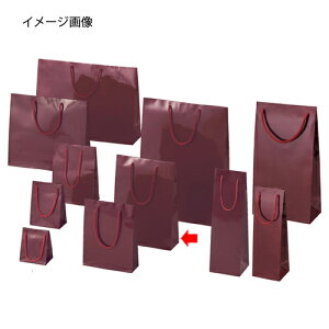 񂰎 uCgobN GW 22.5×8×32cm 10 61-314-3-8ybsOpi bsOV[Y o^CEC[X^[Ew uCgobO GWVW}  cLzyECJz