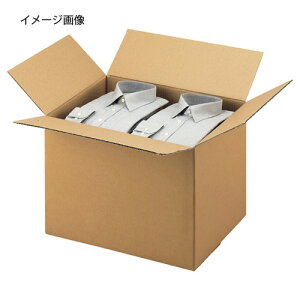 �_���{�[���P�[�X 51×38×40cm 10�� 61-318-1-18�y�X�܉^�c�p�i ����p�i �_���{�[���E����P�[�X �_���{�[���P�[�XA5�EB5�EA4�EB4�EA3�EB3�z�y�X�܏Y�� ���� �f�B�X�v���[ �M�t�g ���b�s���O ��� 