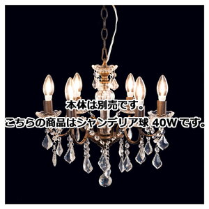 y܂Ƃߔ10Zbgiz VfA 6 VfA 40W 61-392-1-3y[J[/ϕszyƖ CeA Xܓ X܉  ZXzyECJz