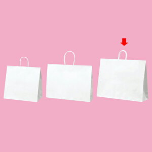 ۂЂ^Cv n 60×18×47 50 61-431-25-12yXܔi  bsO  fBXv[X܁zyECJz