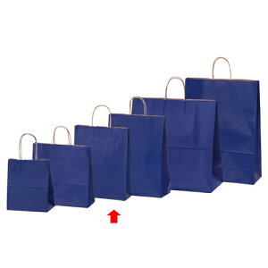 J[񂰎 lCr[ 27×8×34 50 61-309-11-5ybsOpi  񂰎܁inj J[񂰎 lCr[HEIKO  25`[obOzyXܔi  bsO  fBX