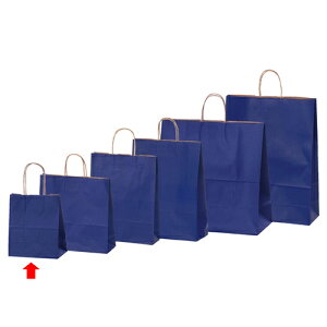 J[񂰎 lCr[ 21×12×25 300 61-309-11-9ybsOpi  񂰎܁inj J[񂰎 lCr[HEIKO  25`[obOzyXܔi  bsO  fB