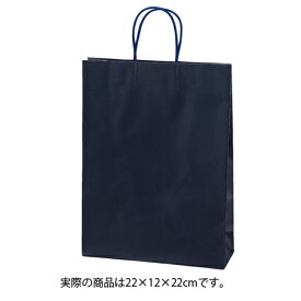 【まとめ買い10個セット品】マットバッグ ネイビー 22×12×22 100枚 61-314-13-6【 ラッピング用品 紙袋 手提げ紙袋（無地） 紐付き紙袋マットバッグ 】【店舗備品 包装紙 ラッピング 袋 ディスプレー店舗】【ECJ】