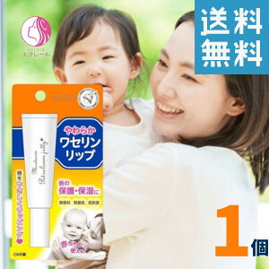 ߍ]Z ^[ 炩Zbv 10g  F h ԂO qO