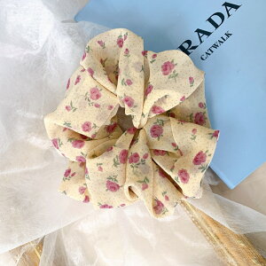 wAANZT[ wAS VV Vv hbg ԕ 傫 |j[ wAS ȒP AW l  fB[X  ꂢ  ɂ