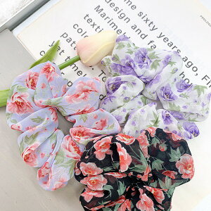 wAANZT[ wAS ؍ [YVV ԕ t[ l qǂ VV Vv ȒP    fB[X AW