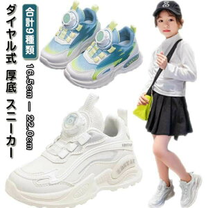 EȒPI_C  Xj[J[ LbY X|[cV[Y ̎q jOV[Y WjA JWAV[Y qp L ^C  ~ h bV  _ 