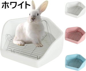 p gC P[W ``pg 킢 Op gC L p ݖh~ ԃXmRt ̃gC ``pgp gCg[jO