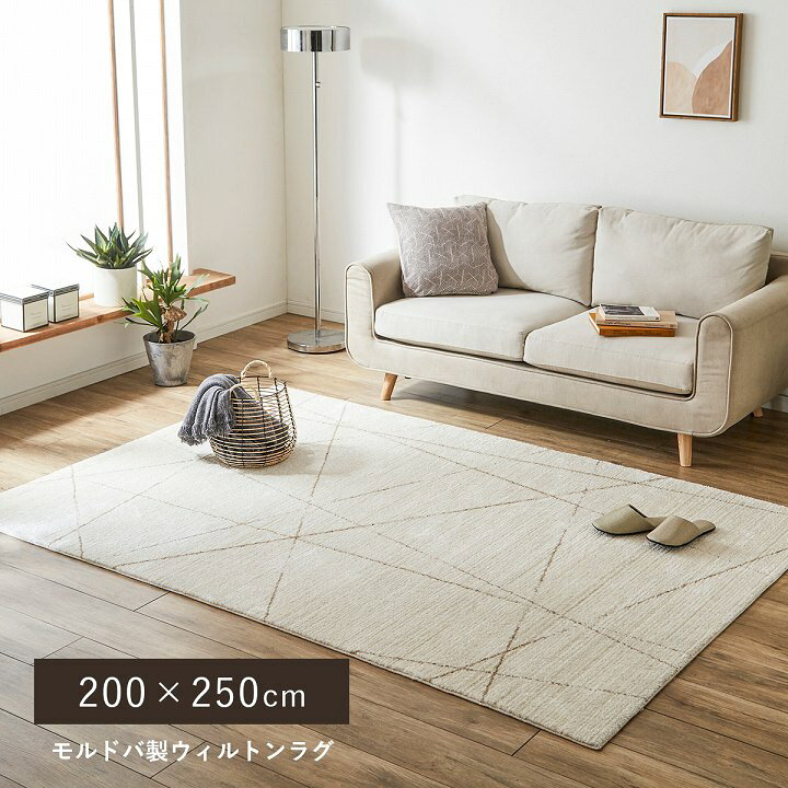 楽天市場 ラグ ふわふわ ウィルトン織 北欧 ラグ おしゃれ ラグマット クォーツ 0 250cm ホワイトインテリア 韓国インテリア マット 白 ウィルトン織 新生活 Eclavie エクラヴィ 楽天市場店 楽天市場 ラグ ふわふわ ウィルトン織 北欧 ラグ おしゃれ ラグマット クォーツ 0 250cm ホワイトインテリア 韓国インテリア マット 白 ウィルトン織 新生活 Eclavie エクラヴィ 楽天市場店