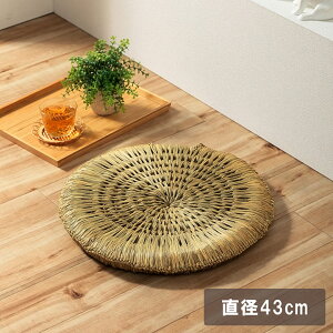y}\JÒIz ~ zc  zc  i` u ݂炢 ҉~ v a43cm {|2cm irucicoV[Y a_ a  ~` ی^ Eh Rf VRf M