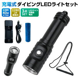 楽天市場 水中 ライト 強力の通販