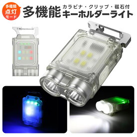 キーホルダーライト COBライト LEDライト 多機能ライト LED小型懐中電灯 ミニライト Type-c充電式 投光器 作業灯 懐中電灯 ハンディライト 緊急時 高輝度 防災ライト カラビナ付 防災グッズ マグネット式 緊急用 非常用 軽量 コンパクト クリップ付 クリア 高評価4.5点