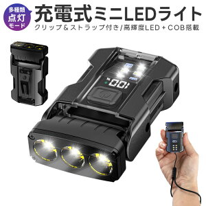 Type-c[d~jLEDCg tbVCg nfBCg gуCg pCg d wbh] LEDCg ~j LED RpNg [d ^ y Xgbvt }Olbg