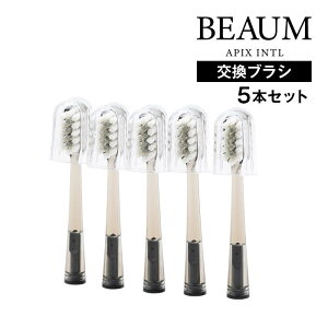 BEAUM �r���[�� �d�����u���V�����u���V5�{�Z�b�g �O���[ AET-B8000(GY) �A�s�b�N�X�C���^�[�i�V���i�� �^ ���Ώ��� ���C���� ������ ���� �ւ��u���V ��̓� APIX INTL �[�d�� ���s �g���x�� �O�o ��