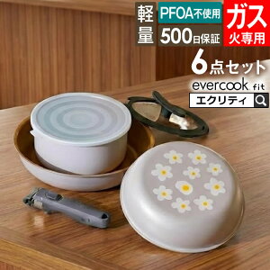 �y�y���������x�܂������zevercook �G�o�[�N�b�N �K�X��p �y�� ���E�t���C�p�� 6�_�Z�b�g �ԕ��O���[ EFGST6PGY �h�E�V�V�� �^ �K�X�ΑΉ� �t���C�p�� �ł��t���ɂ��� ������ ��v DOSHISHA �y�� �y