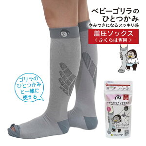 y[ցzxr[ŜЂƂ bO O[ GRS-25GYM GRS-25GYL hEVV ^ ЂƂݐp C ӂ͂PA bOPA tbgPA  r r ȒP DOSHISHA \bNX