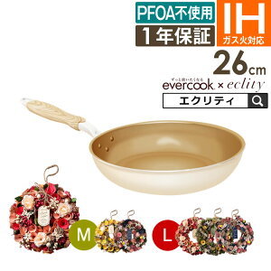 Go[NbN [X hCt[ { evercook Go[NbN GNeB胂f AC{[ tCp 26cm KXEIHΉ 500ۏ Zbg hEVV ^ ̓ v[g tCp 